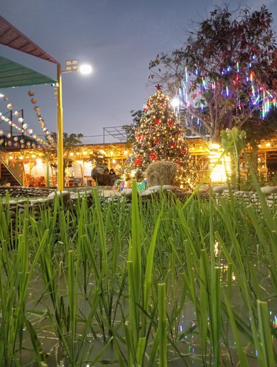 Viet Kieu Royal Hotel Xuyên Mộc Buitenkant foto